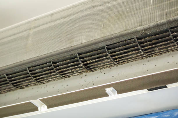Best Emergency Air Duct Cleaning  in Comstock Northwest, MI
